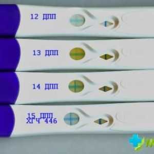 Pozitivan test u nedostatku trudnoće: Kako se to može?