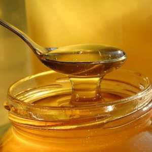 Med će pomoći s gastritis želuca?