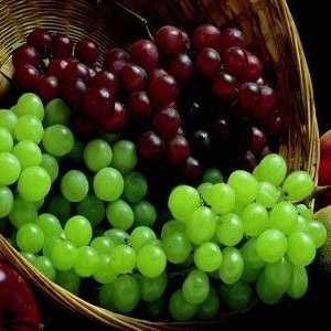 Prednosti grožđa