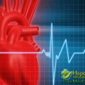 Pomoć narodnih lijekova u liječenju srčanih Artim