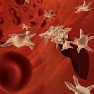 Razlozi za pad trombocita u krvi i povećati njihovu