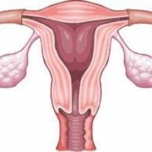 Simptomi menopauze kod žena u dobi od 40 godina