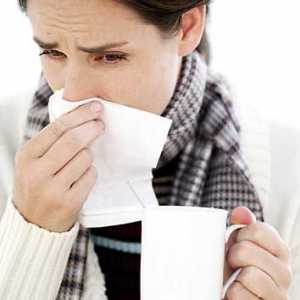 Prehlade, gripe. Liječenje narodnih lijekova.