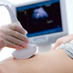 Nošenje i priprema za ultrazvuk želuca