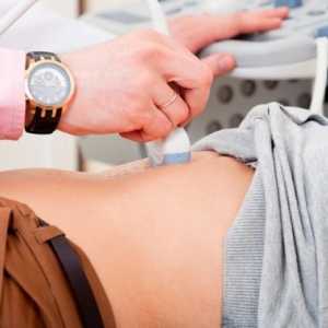 Dešifriranja ultrazvuk trbuha - kao što se događa?