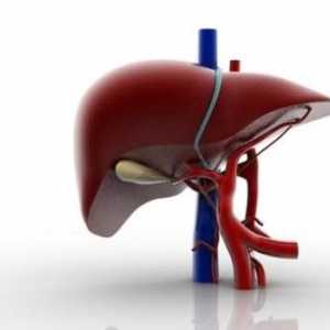 Razvoj ascitesa kod ciroze jetre