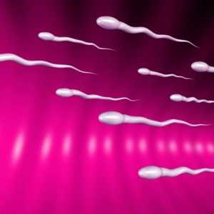 Pravi činjenice o ustajaloj spermi