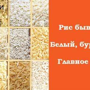 Riža - štete i koristi od antičkog žitarica. njegove varijante