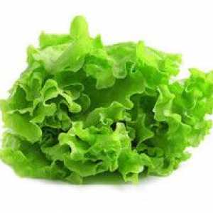 Salata: korisna svojstva i kontraindikacije