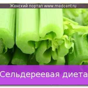 Celer prehrana