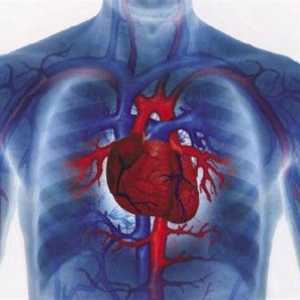 Kardiovaskularne bolesti - posebno liječenje i smrtnost u istočnoj Europi