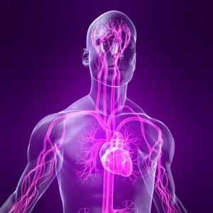 Srčane manifestacije vegetativni krvožilnom distonija i njihove specifičnosti