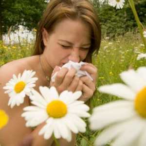 Sezonske alergije. Uzroci, simptomi i liječenje
