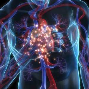 Simptomi i liječenje dišnih klamidija