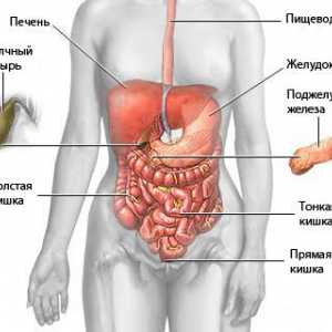Simptomi i korak rak u trbuhu