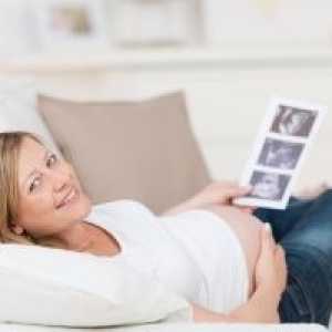 Kada se prvi ultrazvuk i fetalni razvoj u prvom tromjesečju trudnoće