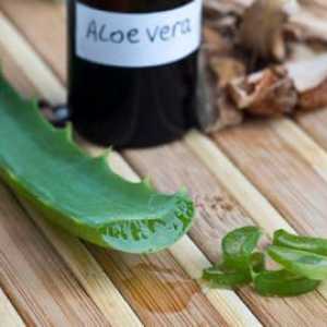 Aloe soka za liječenje rinitisa