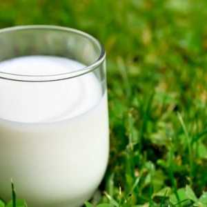 Što trebate znati o danu pražnjenja na mlijeko?