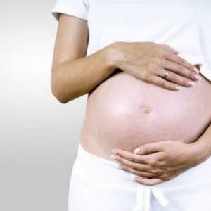 Ureaplasma urealitikum tijekom trudnoće