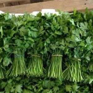 Kakva je korist od cilantro za potenciju