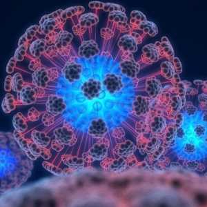 Humani papiloma virus: prevencija i liječenje