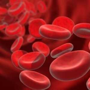 Svrha i prijepis analiza zgrušavanja krvi